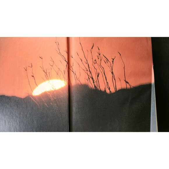 Vintage National Geographic Young Explorers Books Lot of 4 1970s 1980s HC - Picture 8 of 10